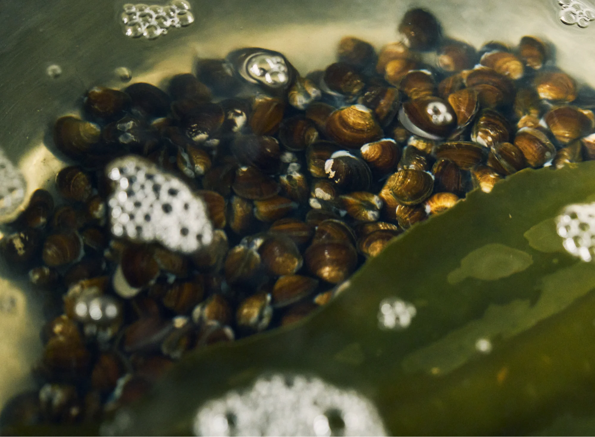 浅虫温泉 椿館の朝食。青森の名産・十三湖のしじみを贅沢に使い、昆布とともに奥深い旨味を引き出す味噌汁の仕込み風景