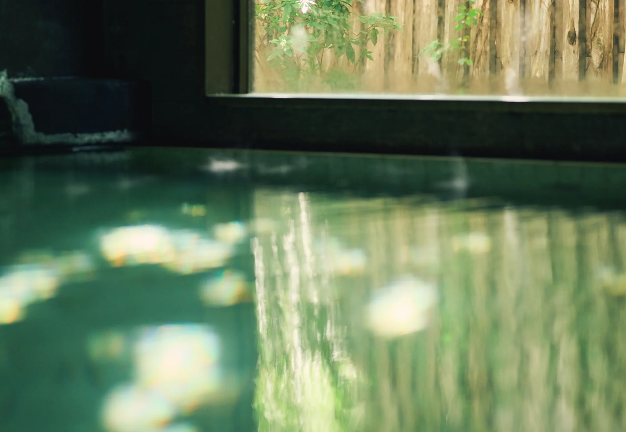浅虫温泉 椿館の内湯から眺める、光と緑の情景。窓から差し込む光が湯面に反射し、まるで宝石のように輝く。湯船に浸かりながら庭の木々を眺める静かな時間が、旅の疲れを優しく解きほぐす。歴史ある名湯の温もりと、自然が調和する安らぎの空間を表現した一枚