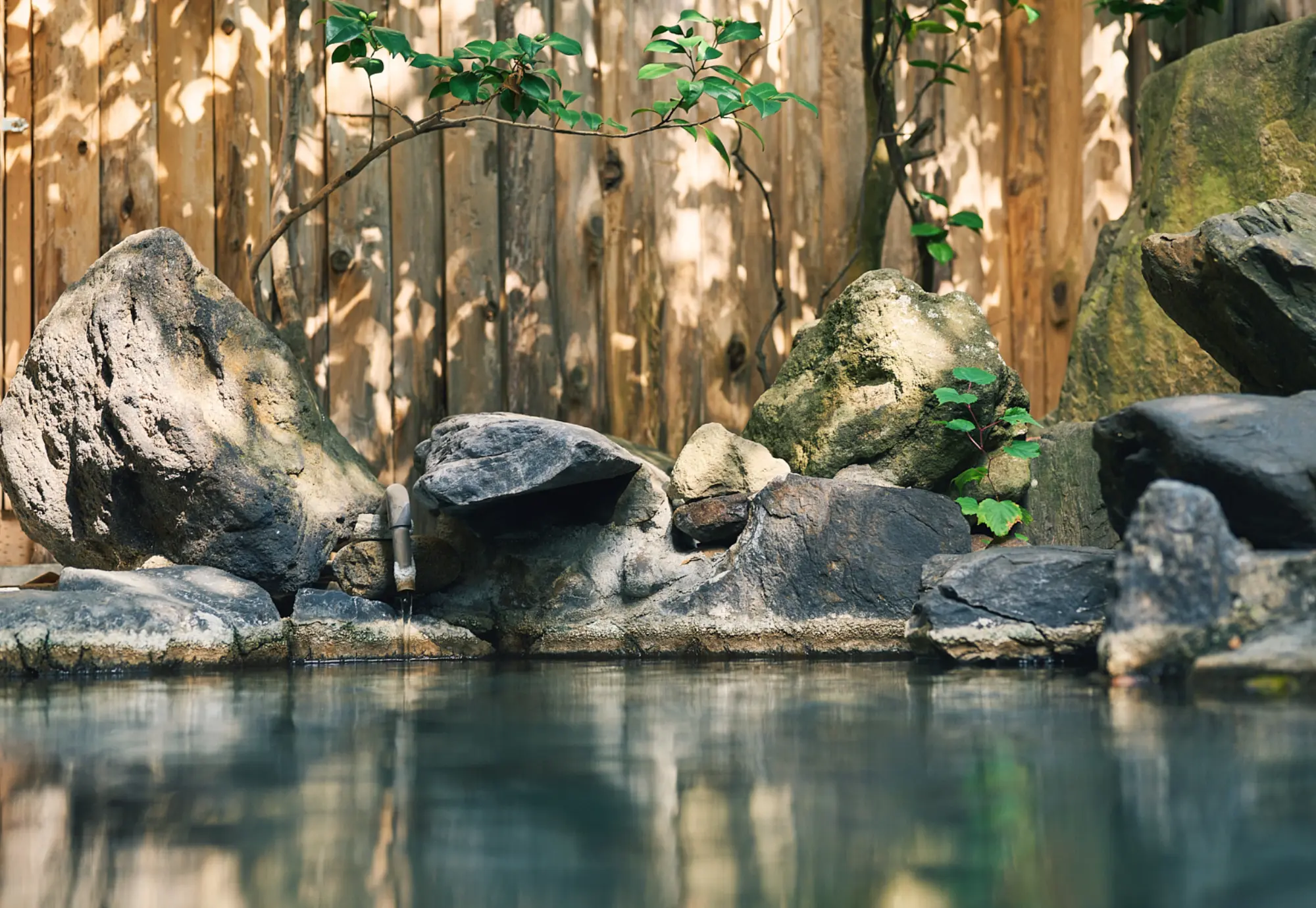 浅虫温泉 椿館の露天風呂。色とりどりの椿に囲まれた石造りの湯船で、四季の風情を感じる安らぎのひととき