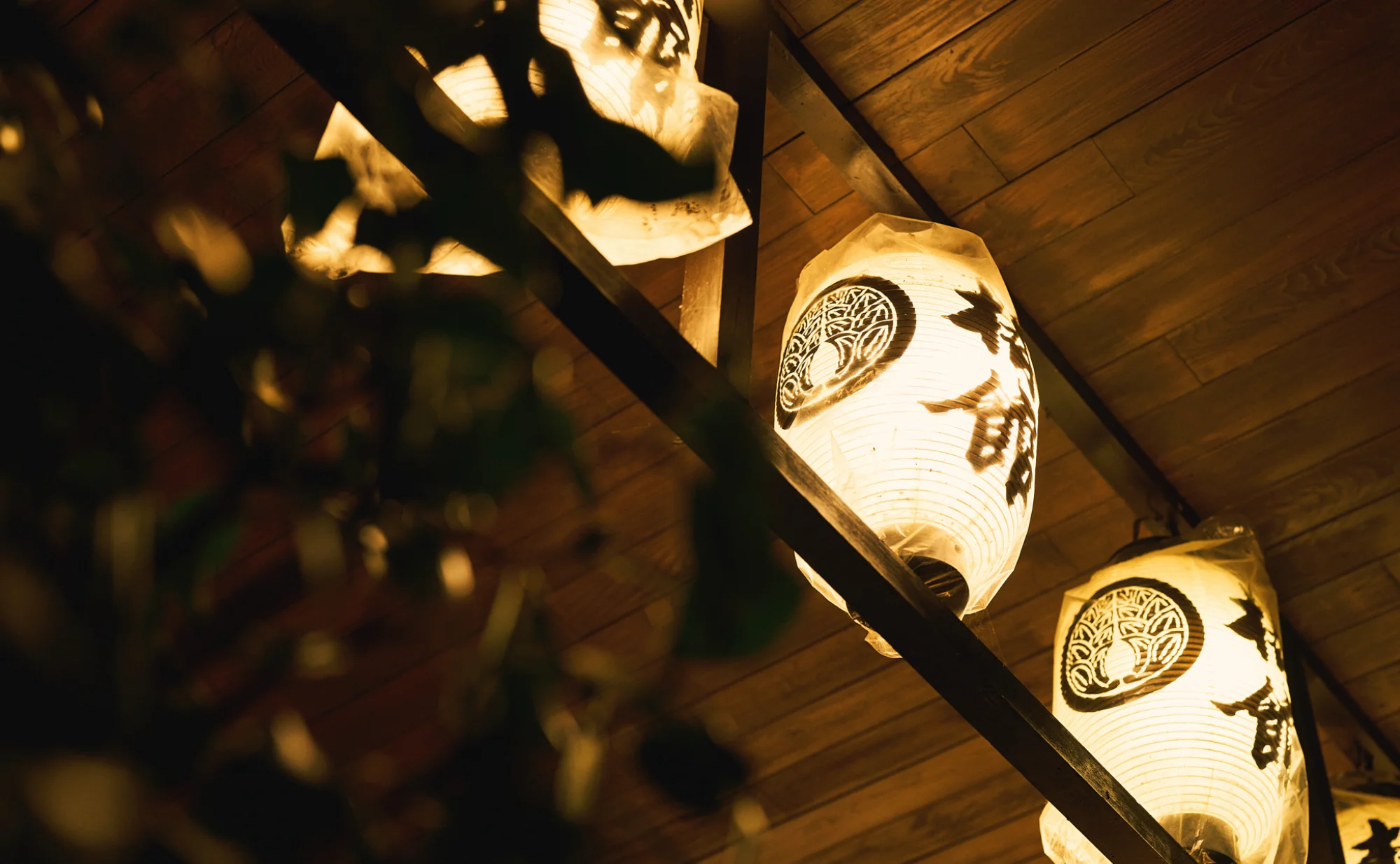 浅虫温泉 椿館の夜の情景。宿の名前と家紋が記された伝統的な提灯が、琥珀色の光で軒先を優しく照らし出す。400余年の歴史が紡いできた物語と、旅人を静かに迎え入れる温かなおもてなしの心を象徴する情緒豊かな一枚